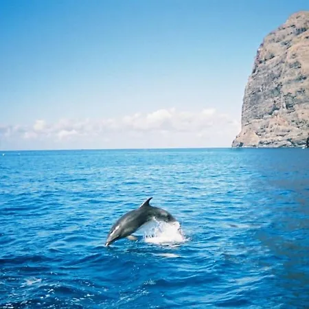 Appartamento Vacanze Da Sogno