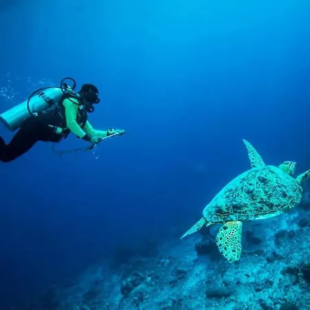 Vacanze Da Sogno San Miguel de Abona