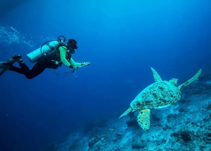 Vacanze Da Sogno San Miguel de Abona